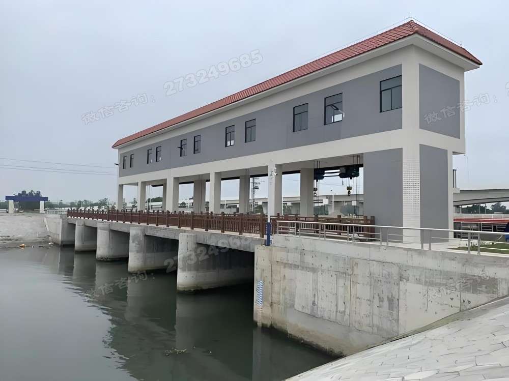 睢宁县河道泵站钢制闸门
