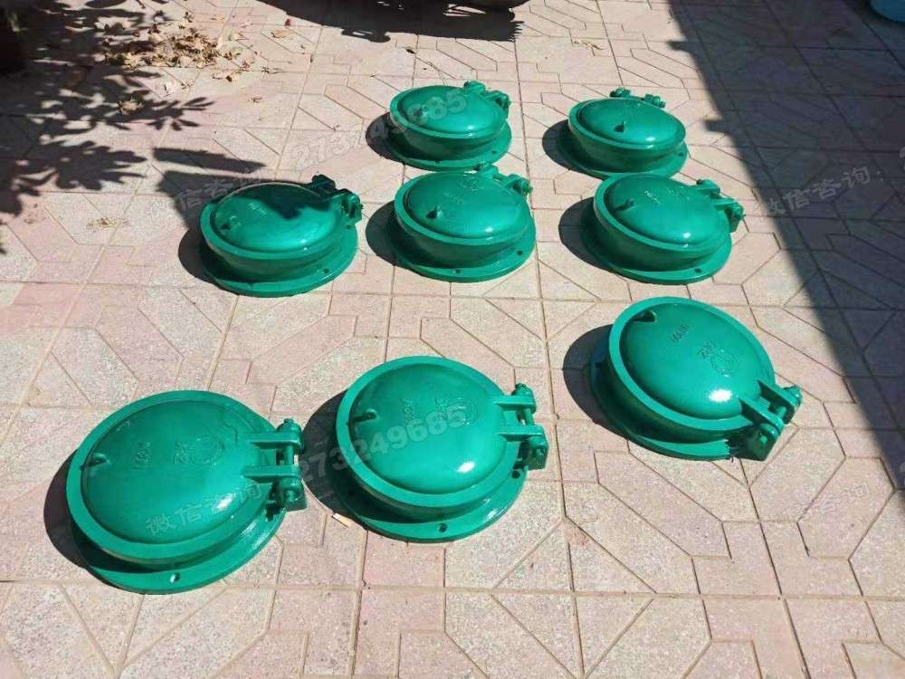 万宁多规格小型玻璃钢拍门