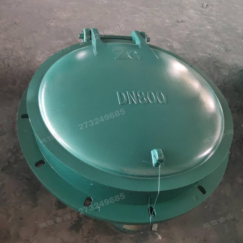安康DN800绿色玻璃钢拍门