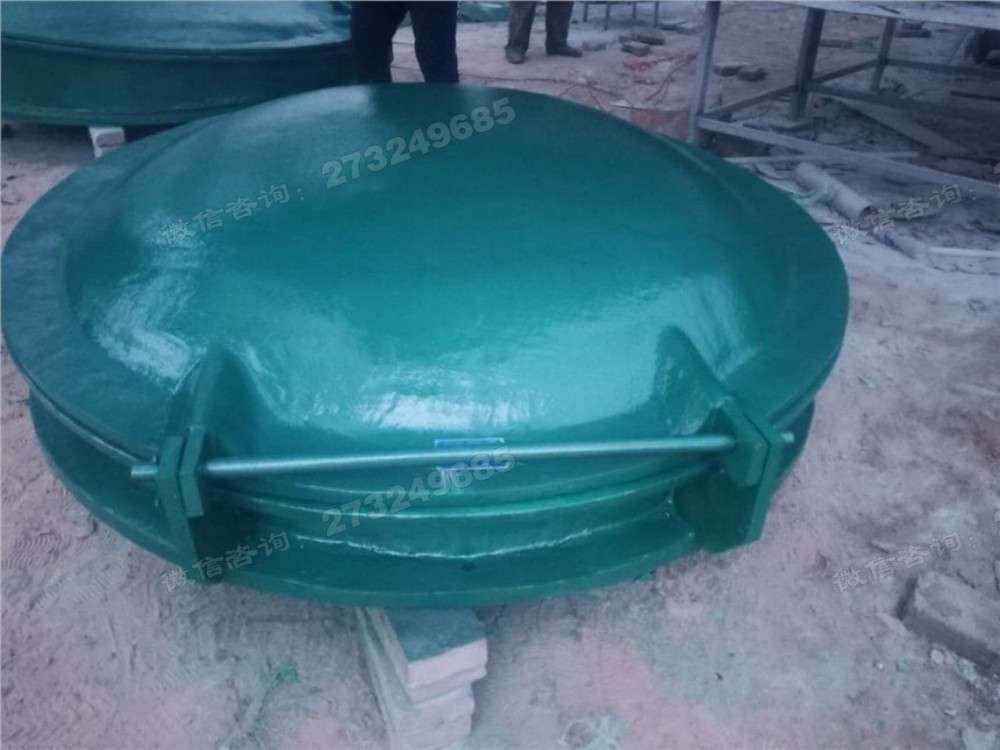 加固型玻璃钢拍门