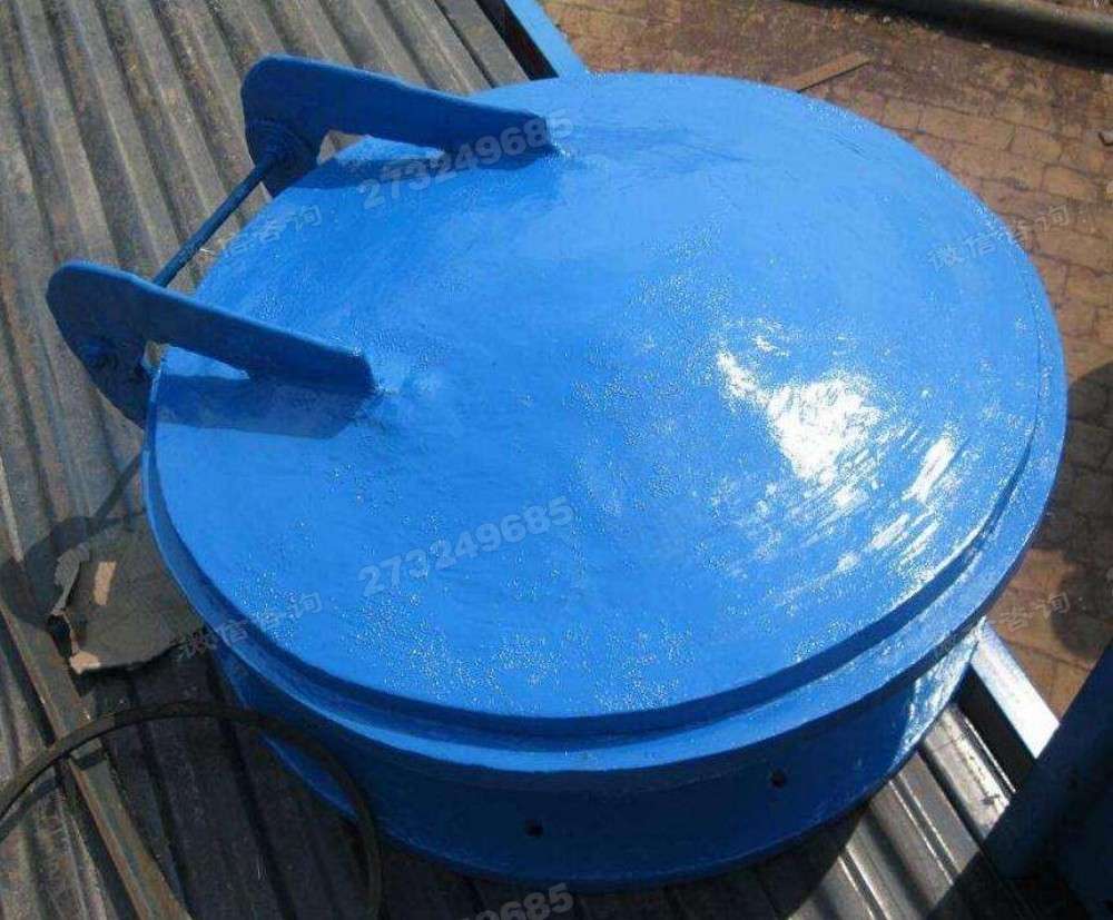 安康蓝色单开拍门