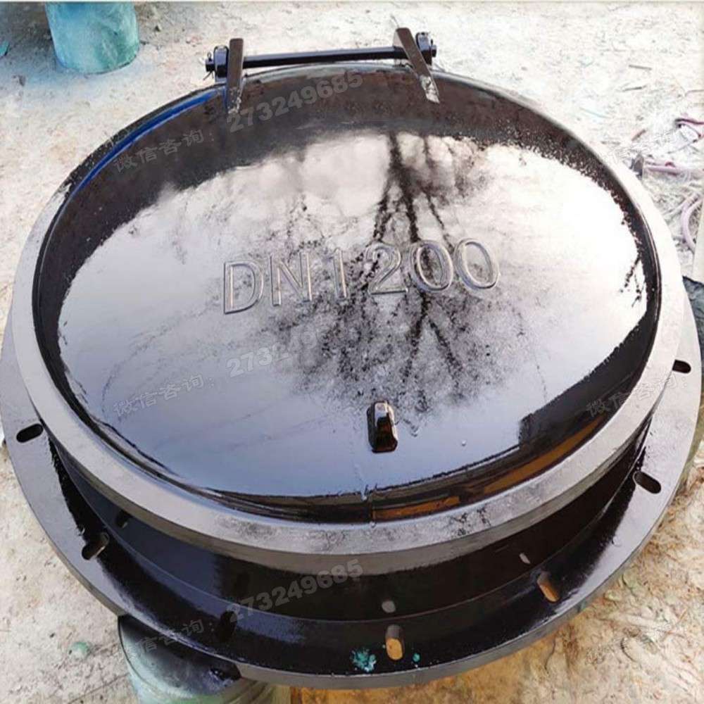 黑色DN1200玻璃钢拍门