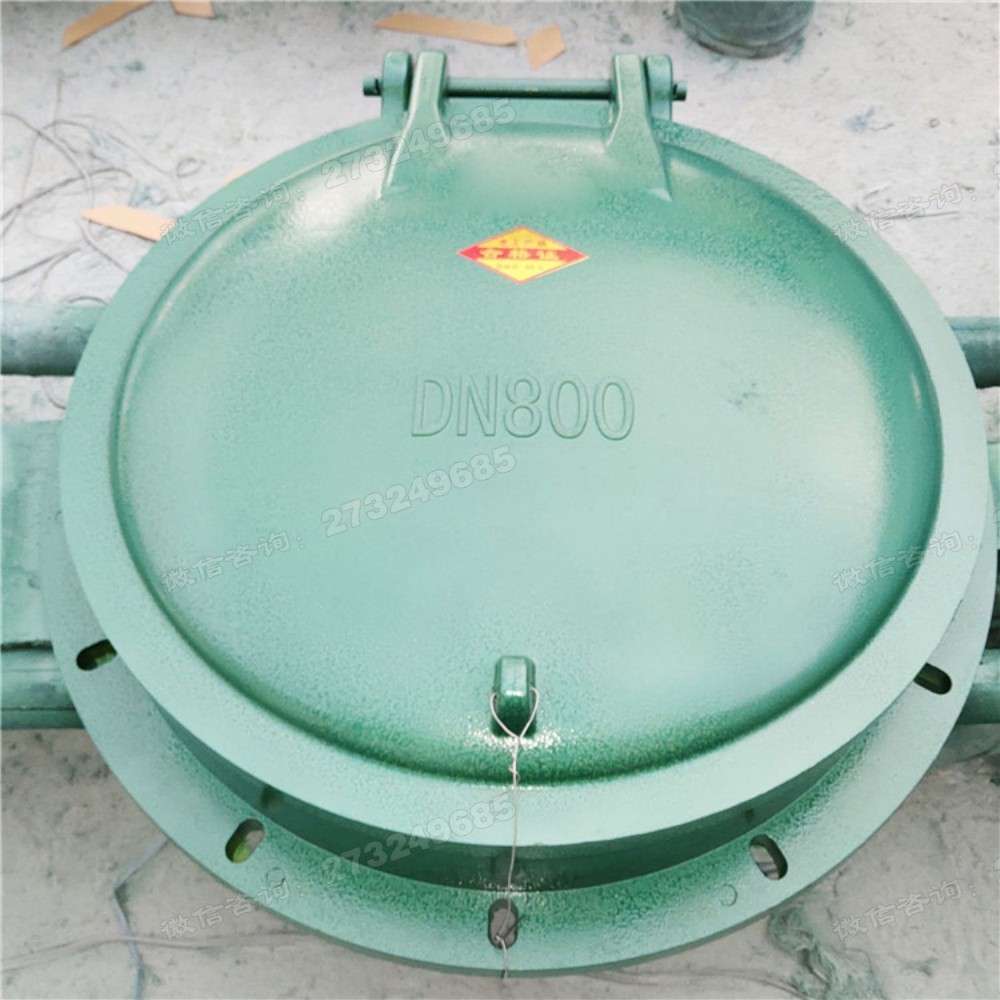 DN800玻璃钢拍门