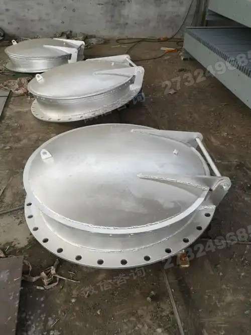 津南大口径不锈钢拍门