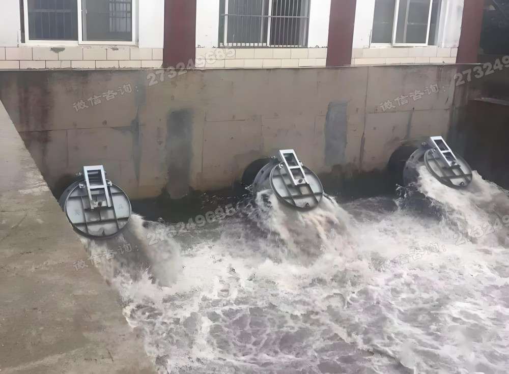 安康三联排水拍门