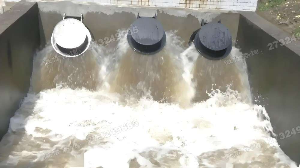 安康泵站排水拍门