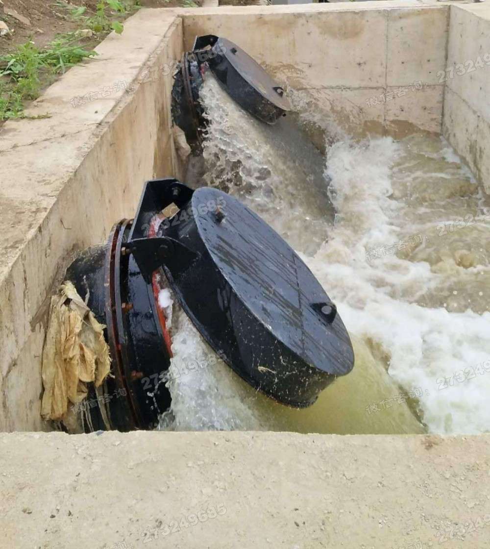 蓝田县河道排水拍门