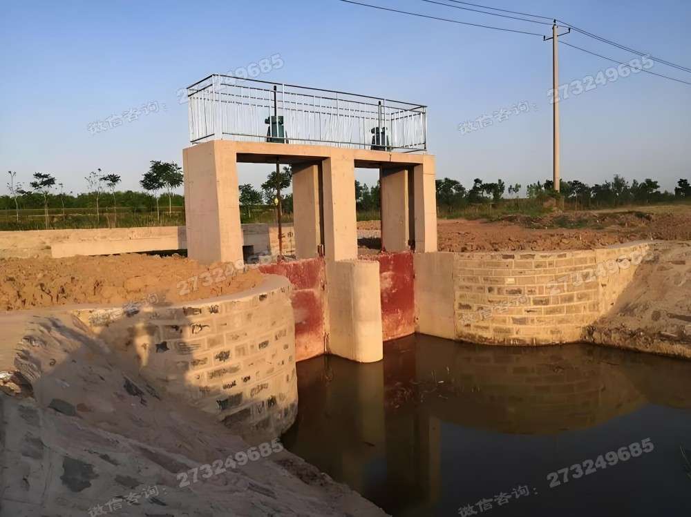 平阳县双孔进水闸门