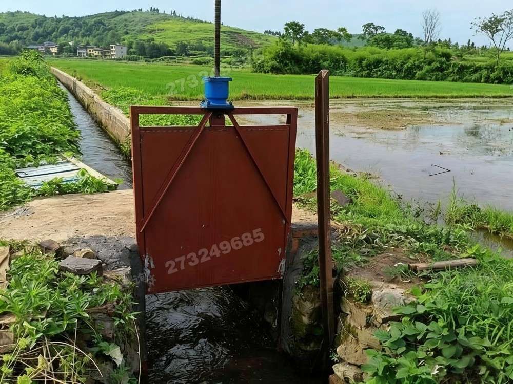 丹棱县水稻田铸铁闸门