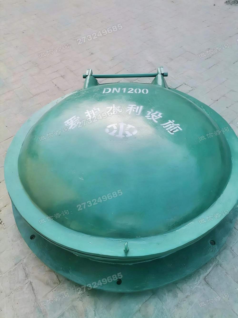 津南DN1200铸铁拍门