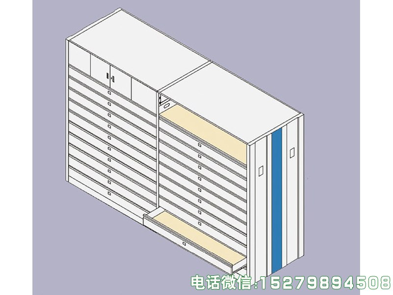 重型字画收藏储藏柜