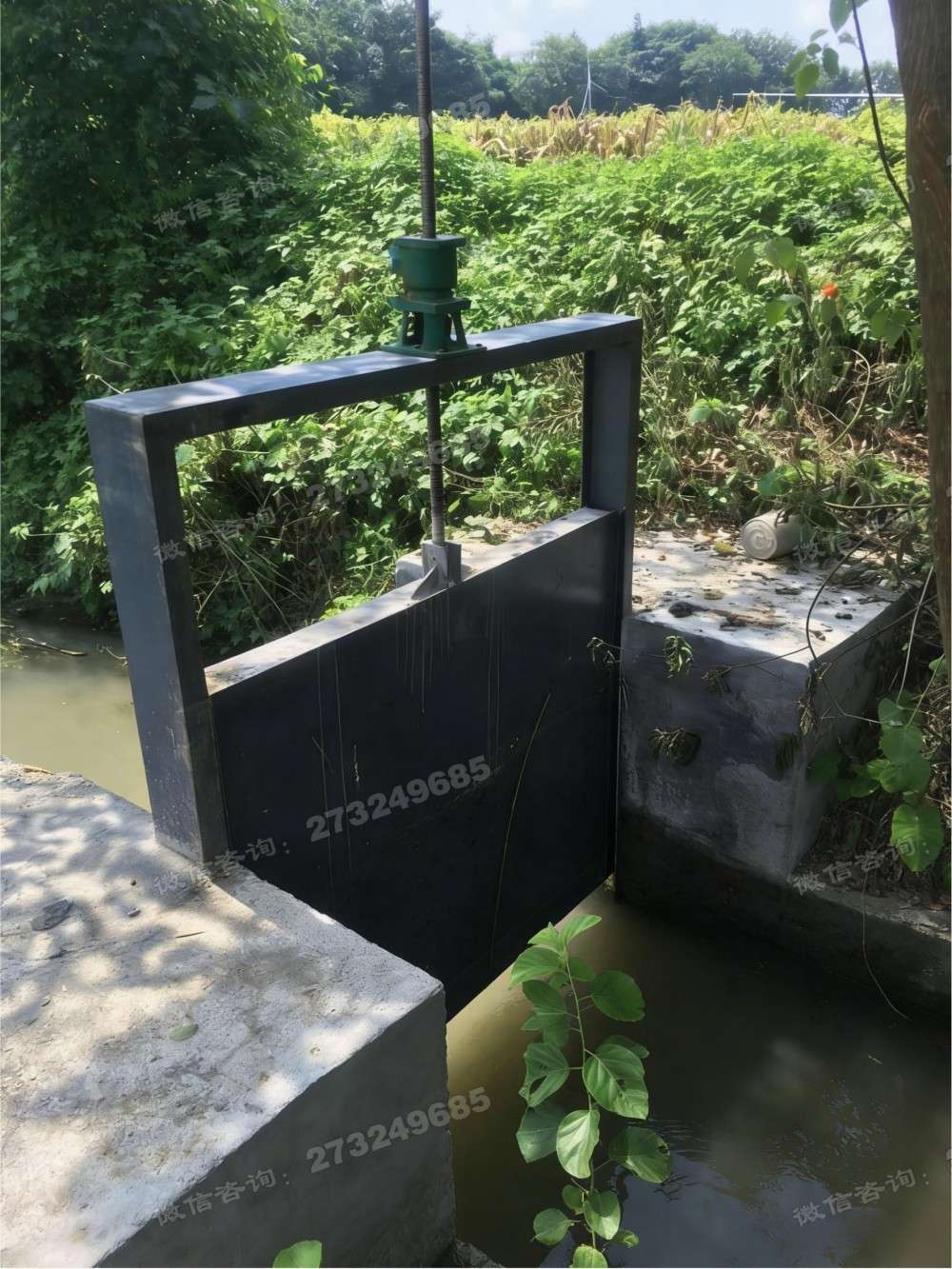 津南菜园灌溉钢制闸门