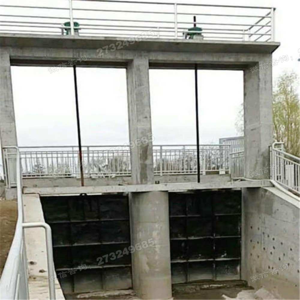 安康泵站双孔铸铁闸门